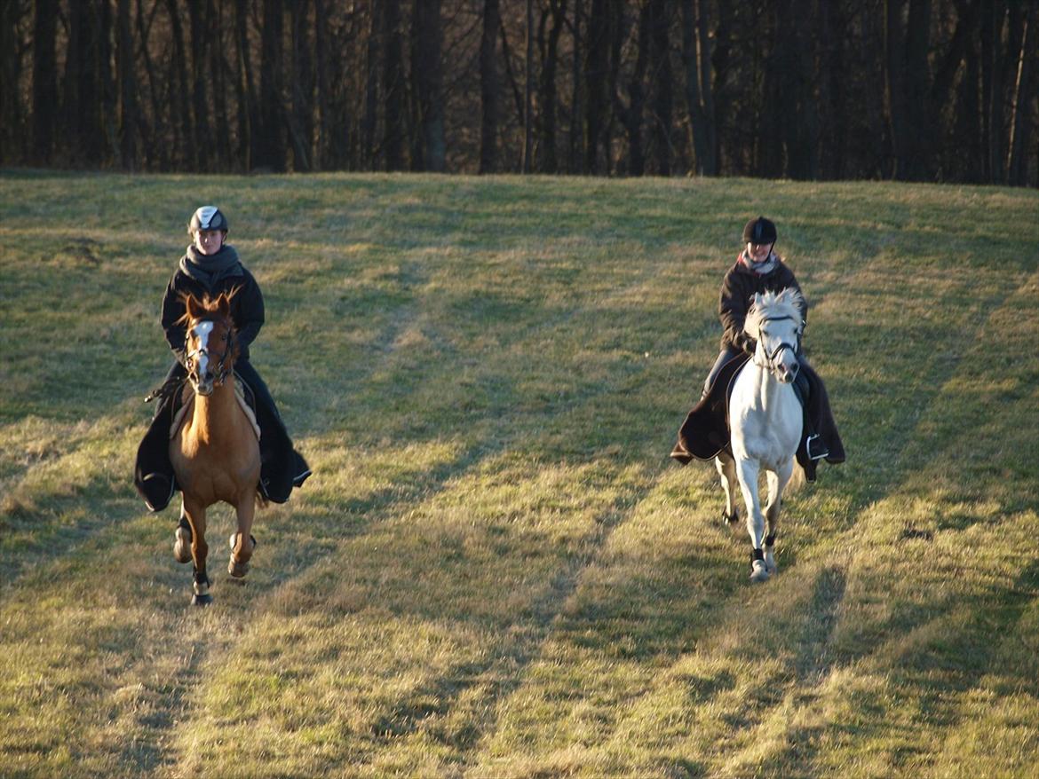 Anden særlig race Milky Way - En sjov jorde-tur sammen med Hannah:D billede 15