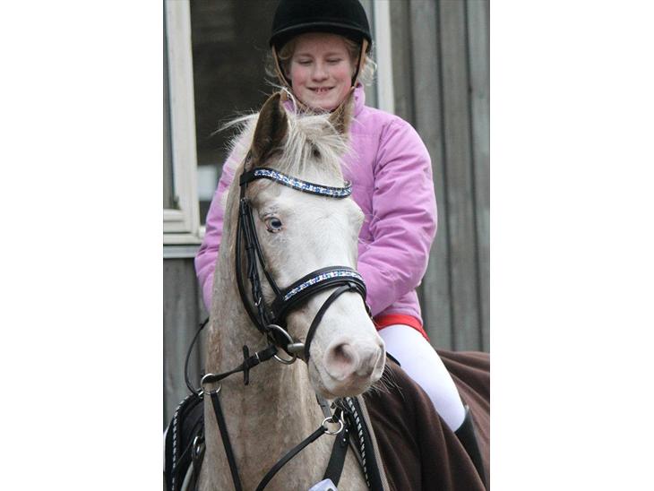 {{currentPhoto.altText}} billede {{currentPhoto.number}}