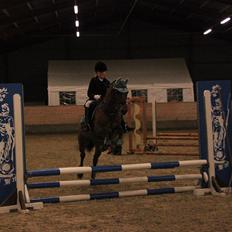 Anden særlig race Pepsi B