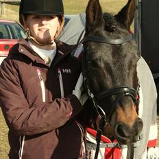 New Forest Nørregaardens Atos