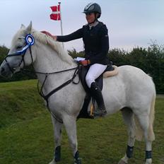 Anden særlig race Volly