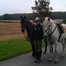 Anden særlig race Volly