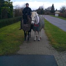 Oldenborg Okholms Gaia