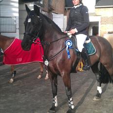 Oldenborg Okholms Gaia