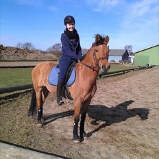 Anden særlig race Lucky 