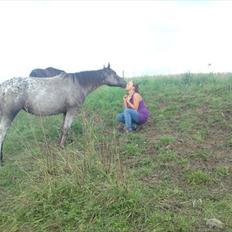 Knabstrupper elmelunds lua lani solgt