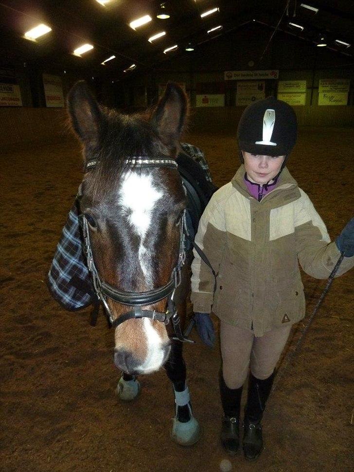 New Forest Milton - Mig og Milton! billede 2