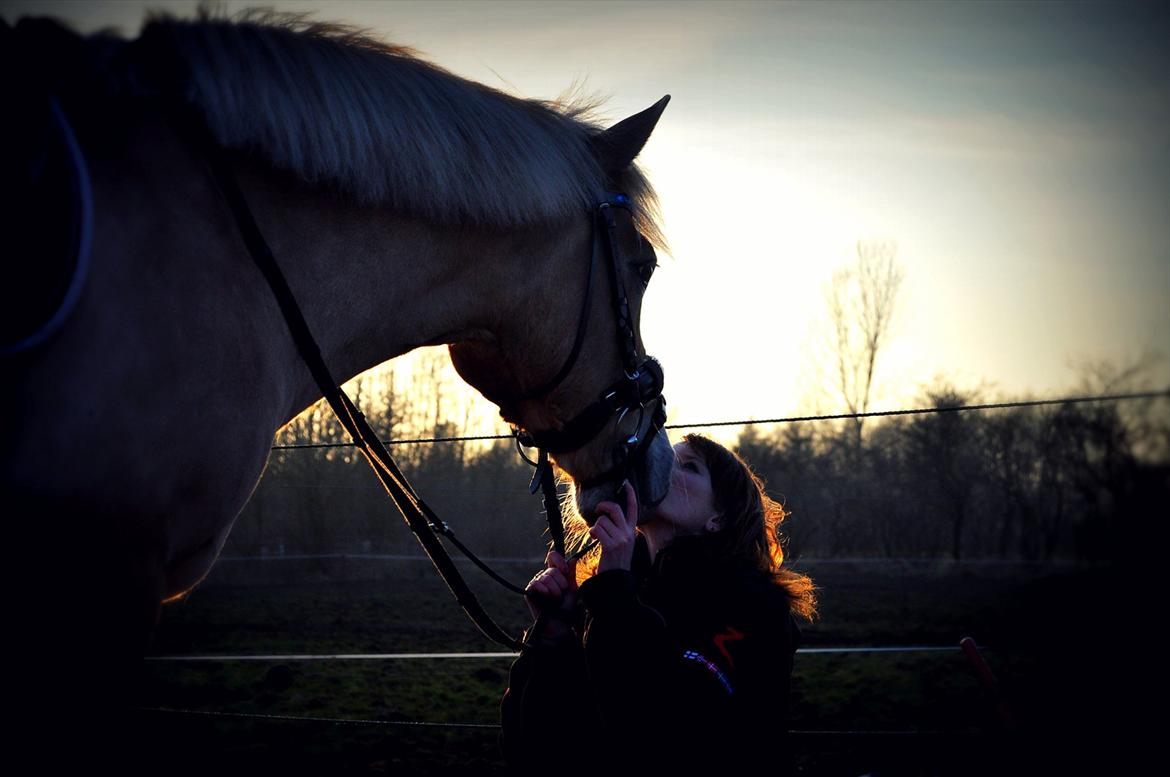 Anden særlig race Miss Jade billede 12