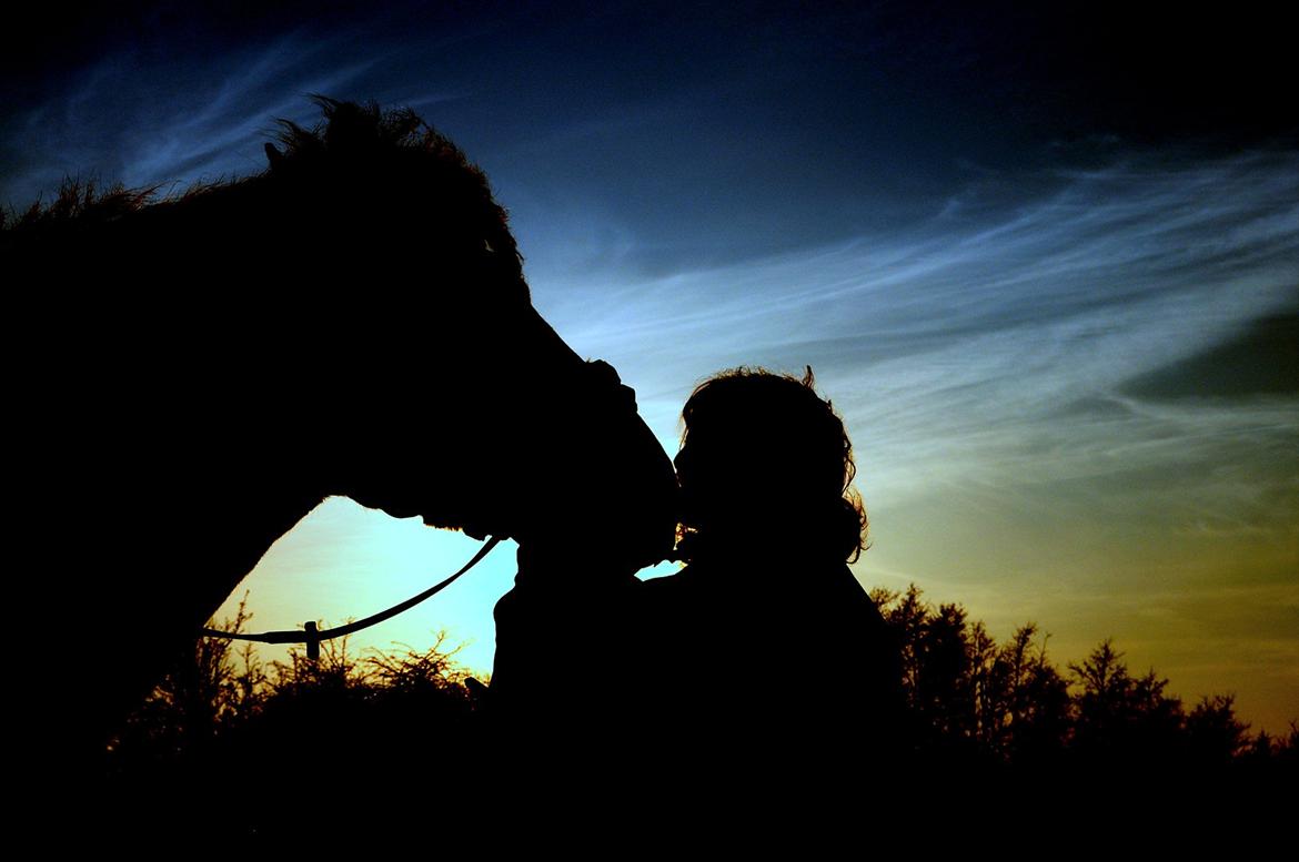 Anden særlig race Miss Jade billede 16