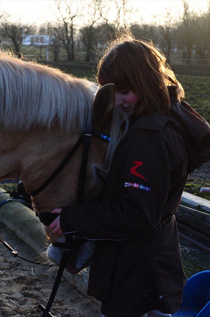 Anden særlig race Miss Jade - Godnat :* så er man blevet træt. billede 7