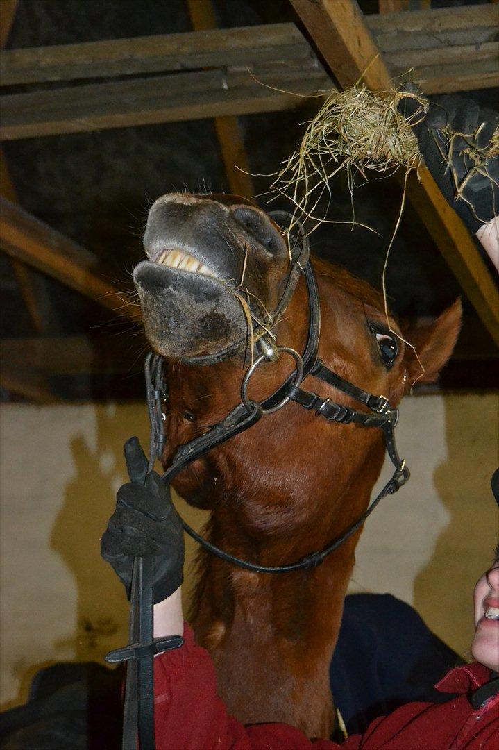 Anden særlig race Mr. Malou - Du er smilet på mine læber <3 billede 7