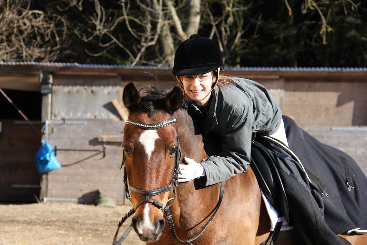 Anden særlig race Apollon - 13 - Februar 2012 billede 15