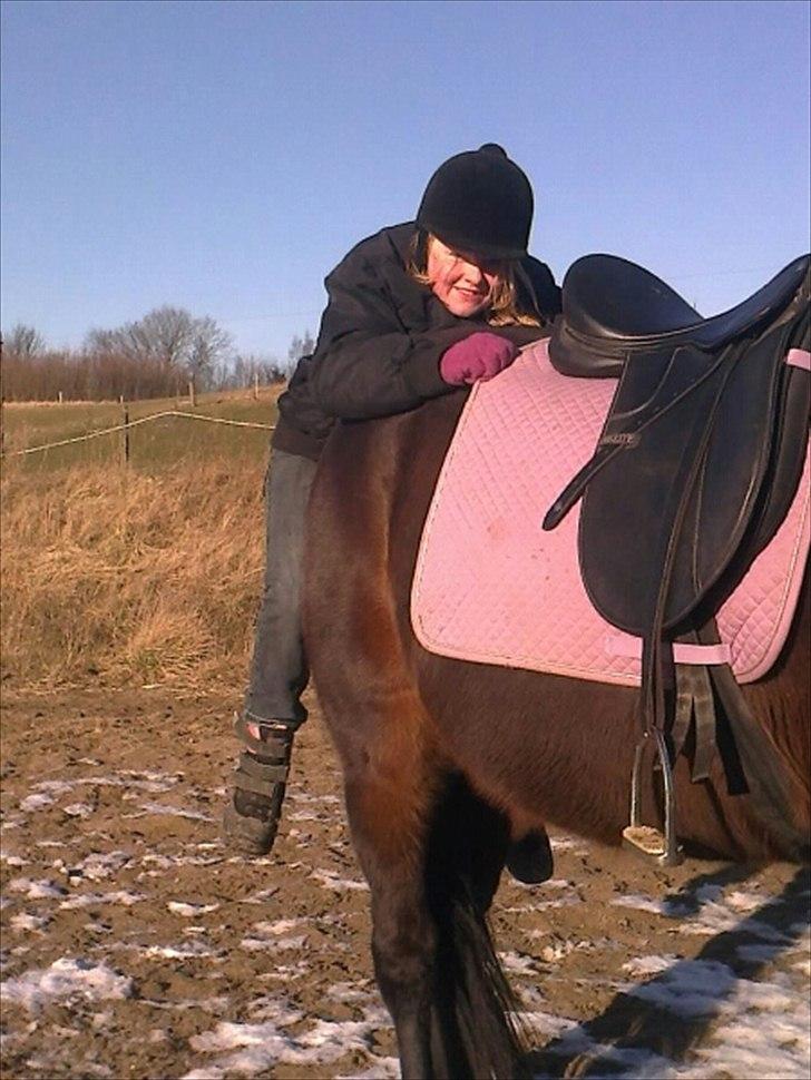 Traver Harley r.i.p min skat billede 17