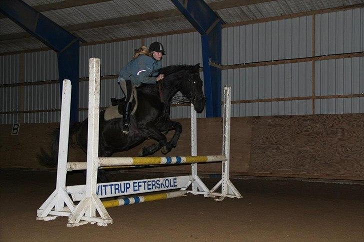 Pinto Thor<3 billede 5