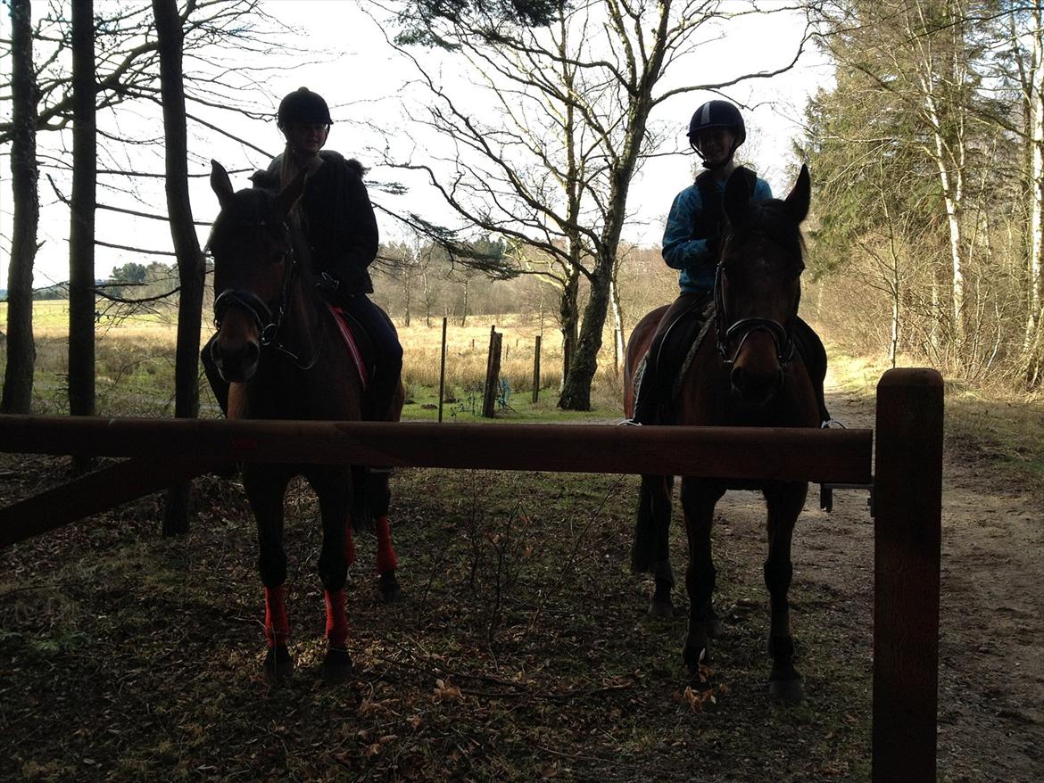 Traver Fame spirit - nue min lille skat står i skyggen med rebecca og penny
Foto: Amalie :DD. billede 14