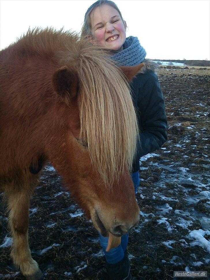 Islænder Bjarmi fra Tothat (den bedste) - Nicoline og Bjarmi. Læg lige mærke til deres ansigtsudtryk!

Taget af mig - 2012 billede 7