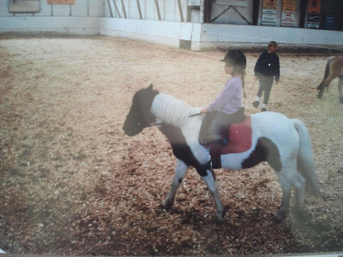 Anden særlig race Shira=]<3 billede 20