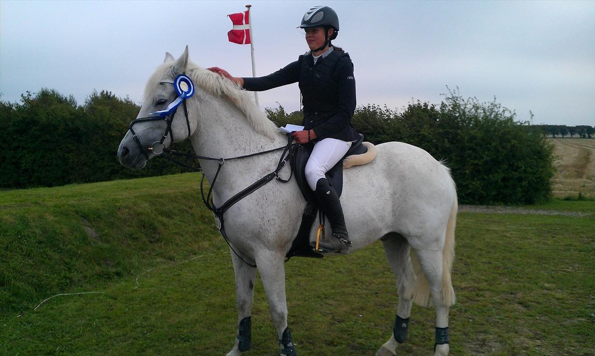Anden særlig race Volly - Velkommen til volly's profil. Her bliver han placeret som nr. 2 i LA billede 1