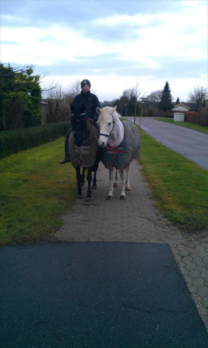 Oldenborg Okholms Gaia - Gaia og volle <3  billede 1