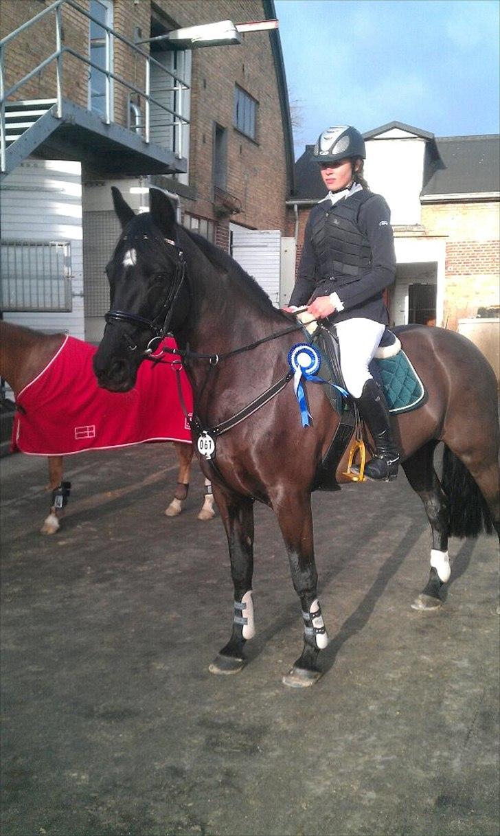 Oldenborg Okholms Gaia billede 3