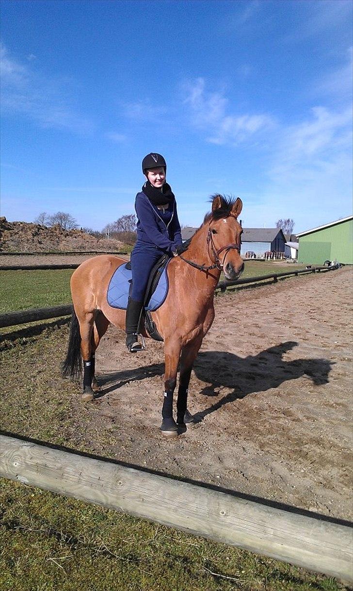 Anden særlig race Lucky  - En dejlig forårs dag.. :-)  billede 1