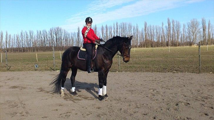 Westfaler Dolce Vita - Taget den 04-03-2012
Parade. billede 3