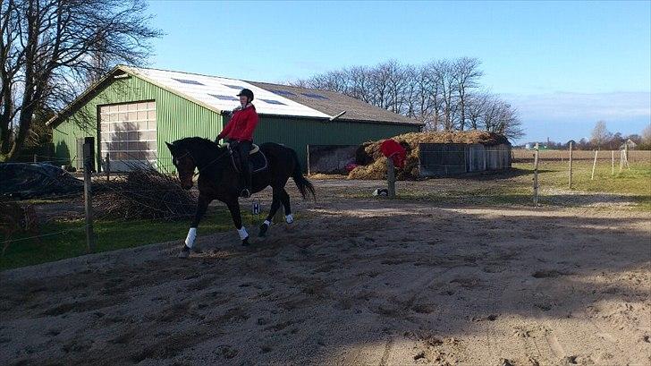 Westfaler Dolce Vita - Taget den 04-03-2012 billede 6