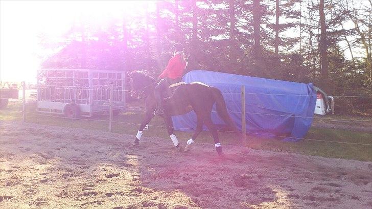 Westfaler Dolce Vita - Taget den 04-03-2012 billede 9