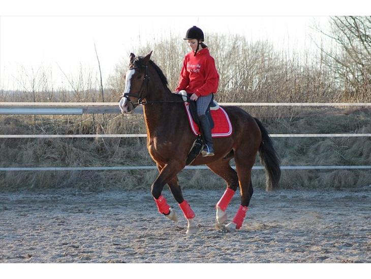 {{currentPhoto.altText}} billede {{currentPhoto.number}}