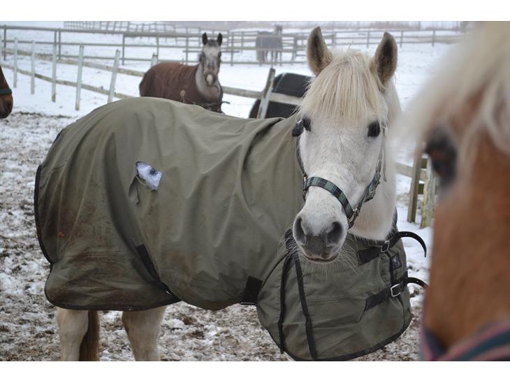 {{currentPhoto.altText}} billede {{currentPhoto.number}}