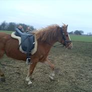 Anden særlig race Cherrie<3 [Min Part]