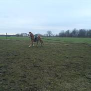 Anden særlig race Cherrie<3 [Min Part]