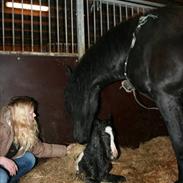 Frieser ** FAMKE EL **