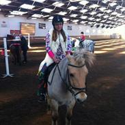 Fjordhest Monty Python (Part)