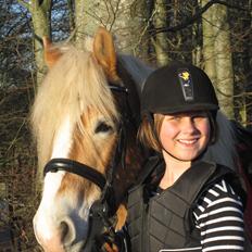 Haflinger Nemo Soldal