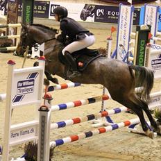 Knabstrupper Nobilitas Equa