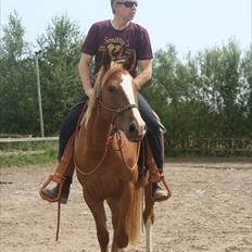 Anden særlig race Kløvermarkens Nikita