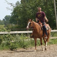 Anden særlig race Kløvermarkens Nikita