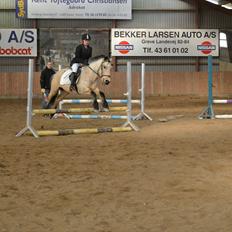 Anden særlig race Mikkel 