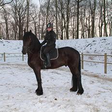 Frieser Tsjitse F Hyllested Østergaard