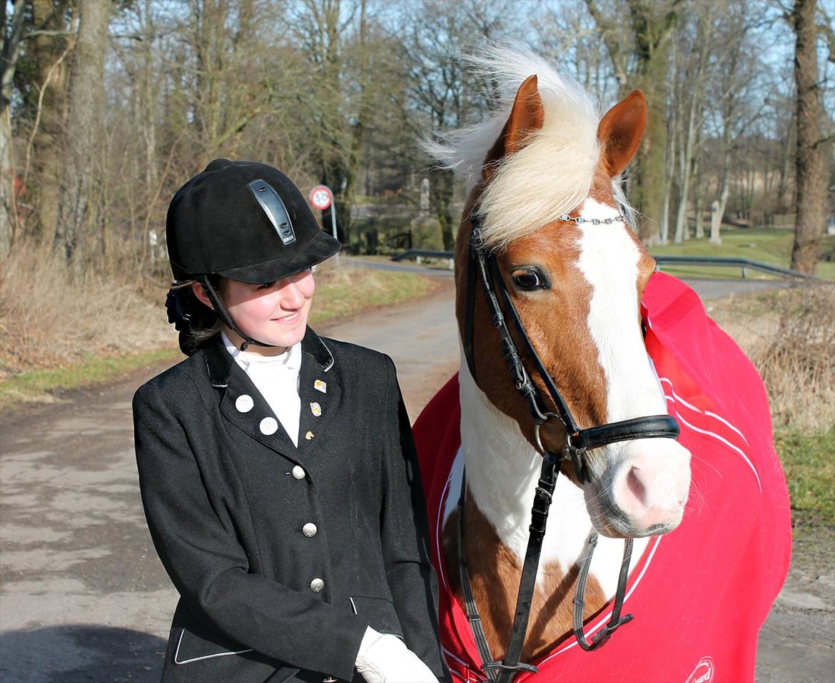 Anden særlig race Vanetta  - Den pony er så dejlig! <3
til stævne på Broholm LB1 67, et eller andet % :-D
Første plads<3

Velkommen til Vanettas profil! :-) billede 3