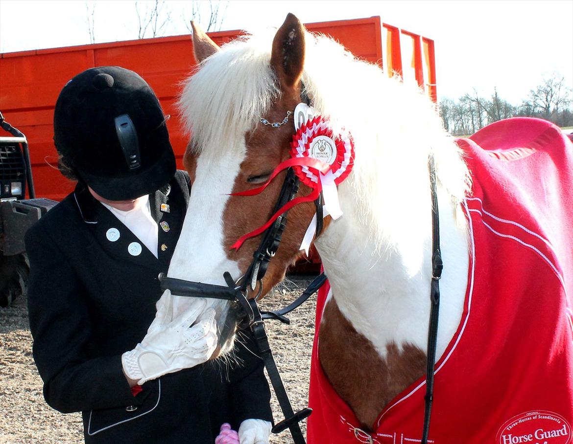 Anden særlig race Vanetta  - LB1 67% 
på Broholm..
Jeg fik sokker! :-D billede 9