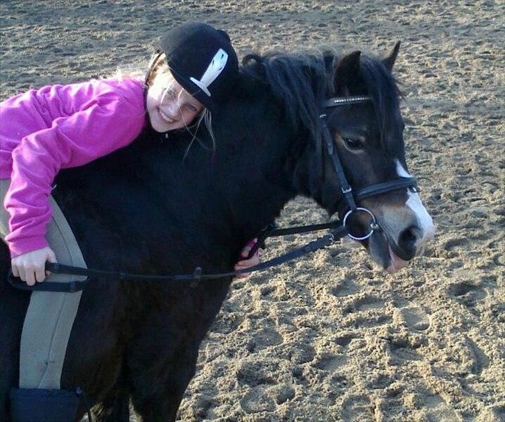 Welsh Mountain (sec A) // My Star // Josefine..!<3 - Mig & Josefine hygger xD

Foto: Rebecca! :S billede 8