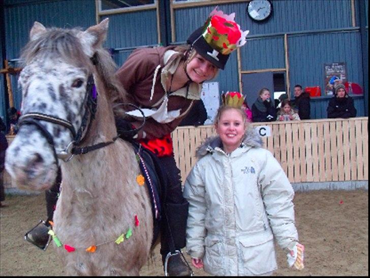 Knabstrupper Filur - Så blev Filur og jeg kattekonge til hest. Så sej den bette pony er ;D Kattedronningen Stephanie ved siden af :-)  billede 2