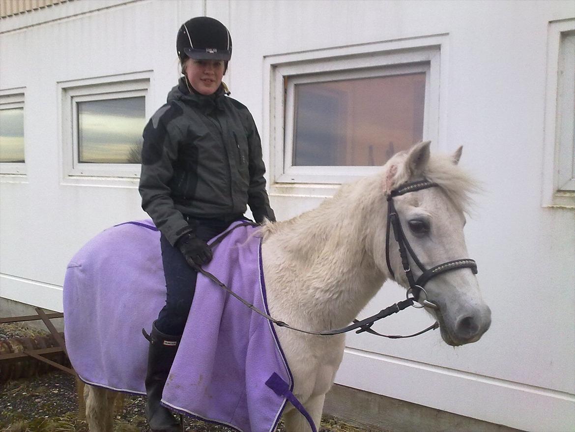 Anden særlig race Cutie Girl - På tur d. 4/3-12 :-D <3 billede 20