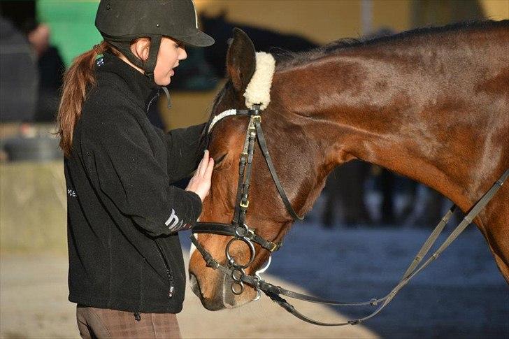 Dansk Varmblod Fantasy [Tidl. part] - Mig og Melody igen - love you<3  (Billede: Maya/ Frederikke 02/03 2012)

A horse is the projection of peoples' dreams about themselves - strong, powerful, beautiful - and it has the capability of giving us escape from our mundane existence.  - Pam Brown billede 14