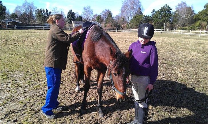 Traver Magic billede 16