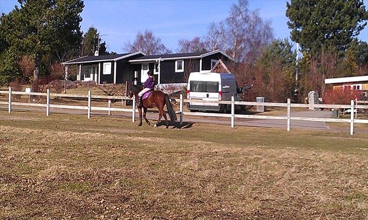 Traver Magic billede 17