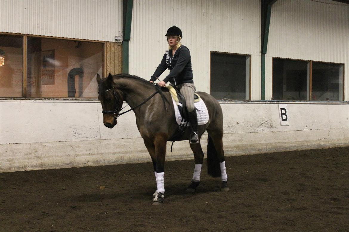 Anden særlig race Nadir <3  billede 12