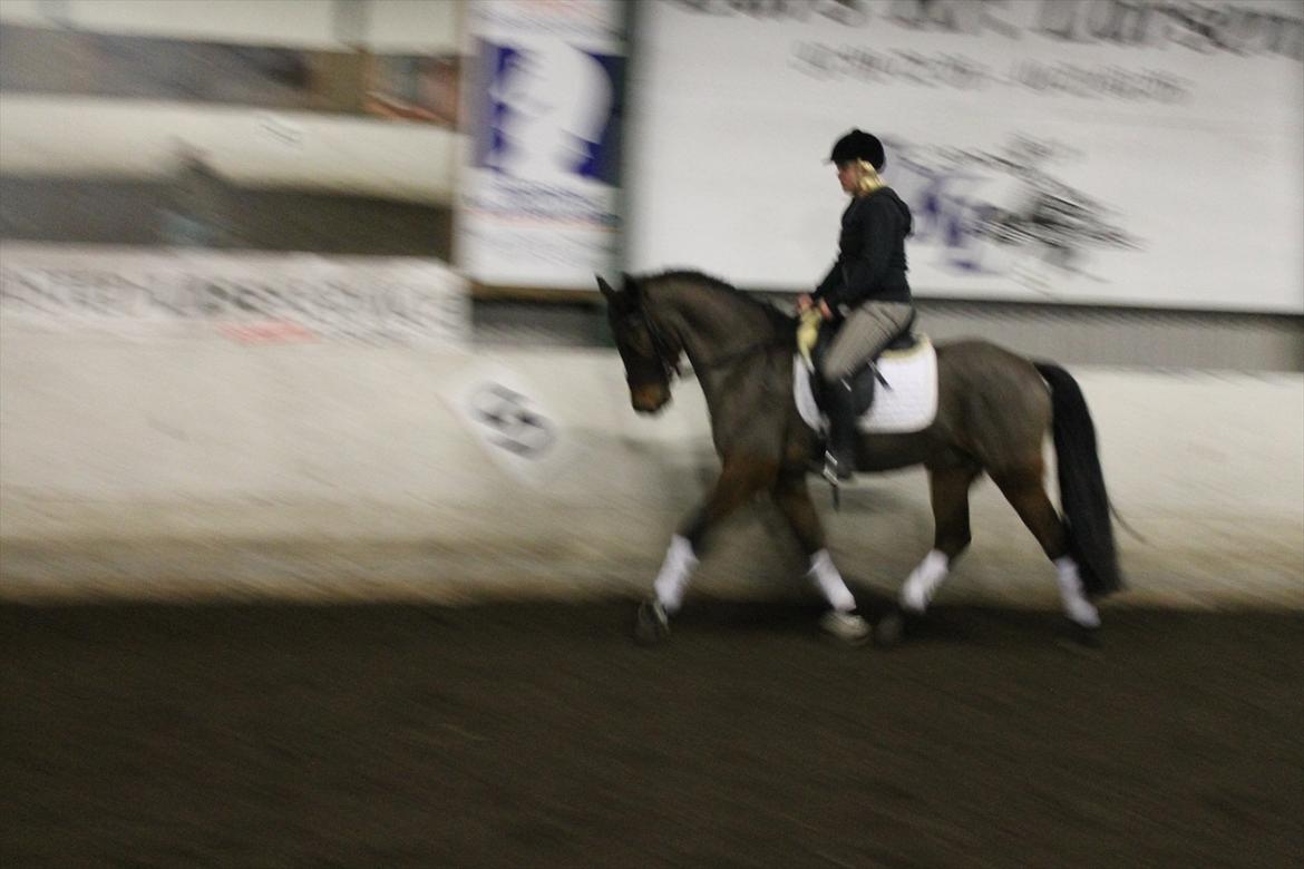 Anden særlig race Nadir <3  billede 7